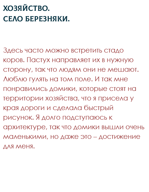 Хозяйство. Село Березняки. Здесь часто можно встретить стадо коров. Пастух направляет их в нужную сторону, так что людям они не мешают. Люблю гулять на том поле. И так мне понравились домики, которые стоят на территории хозяйства, что я присела у края дороги и сделала быстрый рисунок. Я долго подступаюсь к архитектуре, так что домики вышли очень маленькими, но даже это – достижение для меня.