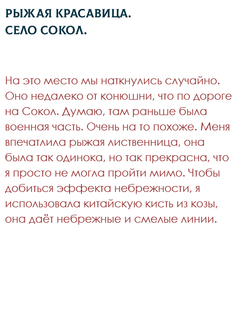 Рыжая красавица.  Село Сокол. На это место мы наткнулись случайно. Оно недалеко от конюшни, что по дороге на Сокол. Думаю, там раньше была военная часть. Очень на то похоже. Меня впечатлила рыжая лиственница, она была так одинока, но так прекрасна, что я просто не могла пройти мимо. Чтобы добиться эффекта небрежности, я использовала китайскую кисть из козы, она даёт небрежные и смелые линии.